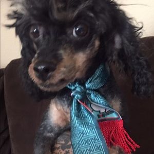 Meet your Posher, Thomas